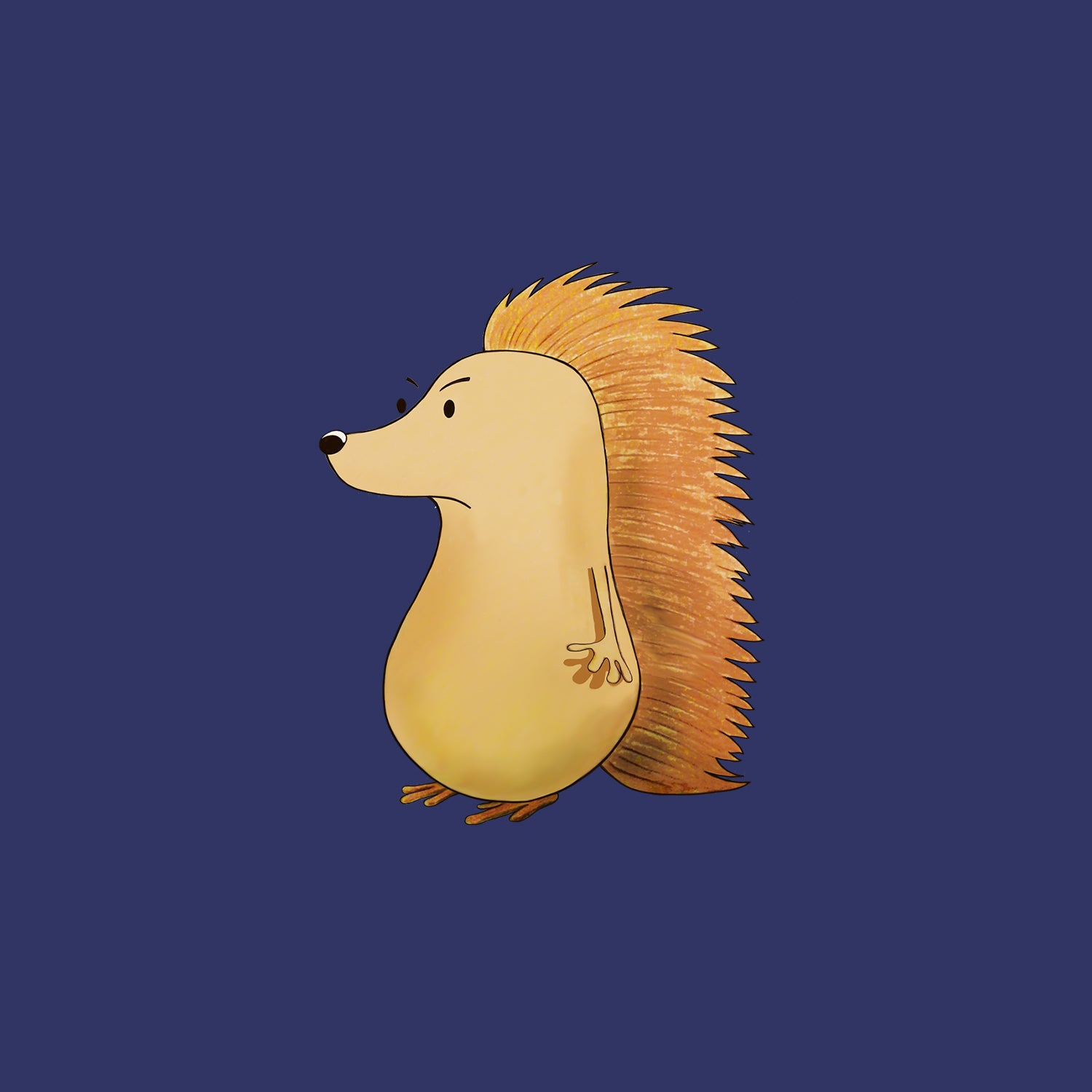 Geoffrey The Grumpy Hedgehog